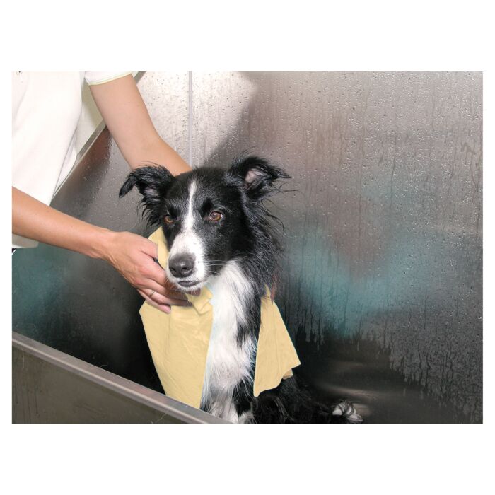 Magic Handduk 66x43x0,2cm - Posh Dogs