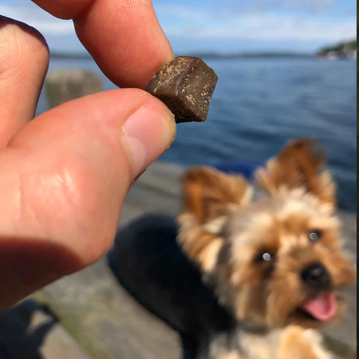 Svenskt Hundgodis - Promenad & Träning - Oxlunga